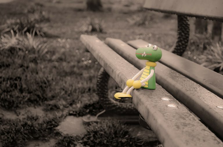 Lonely Toy